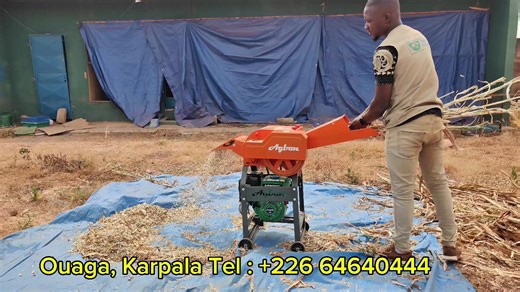 🌿 Nouvelle machine de broyage d'herbes disponible ! 🌿 👉 Facilitez l’alimentation de vos animaux avec notre broyeur d’herbes performant. 👉Idéal pour le Maralfalfa et autres fourrages : elle broie les tiges afin de les rendre plus digestes et accessibles à vos moutons, bovins. Avec cette machine : Vous réduisez vos pertes de fourrage 🌱 Vous améliorez la croissance rapide et saine de vos animaux Vous gagnez du temps et de l’énergie dans vos travaux d’élevage ⚡ Prix : 250 000f 📞 Contact (Whats