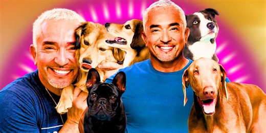 What Happened To Cesar Millan After His Show Dog Whisperer Ended?