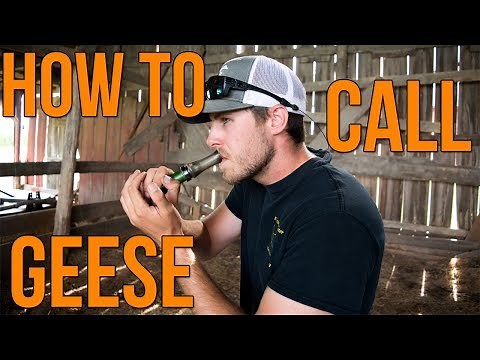How To Call Geese | Waterfowl Wednesday