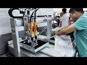 Dual heads automatic screwing machine