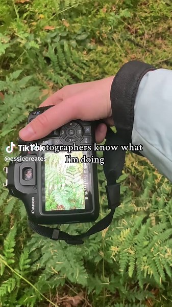 Photography Trick to Enhance Your Nature Photos
