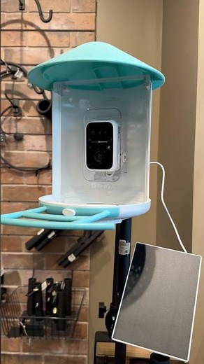 Birdfy Smart Feeder: Fully Setup and Professionally Mounted