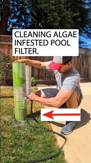 Watch This Pool Tech Tackle a Filthy Pool Filter Clean-up!