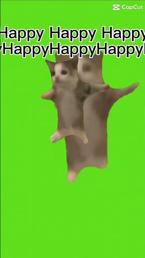 Happy happy happy meme