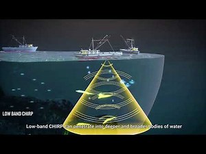 Garmin CHIRP Sonar Technology