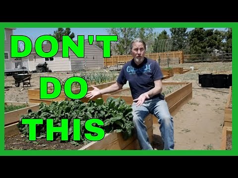 Lessons for Beginner Gardeners (9 Tips)