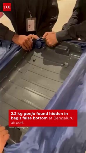 230K views · 431 reactions | The Air Intelligence Unit (AIU) at Kempegowda International Airport, #Bengaluru intercepted a passenger arriving from #Bangkok whose checked-in baggage featured false bottoms on both sides. Officers recovered approximately 2.2 kg of hydroponic ganja concealed inside the suitcase. Further investigations are underway.  blrcustoms / X #DrugBust #BengaluruAirport #HydroponicWeed | The Times of India | Facebook