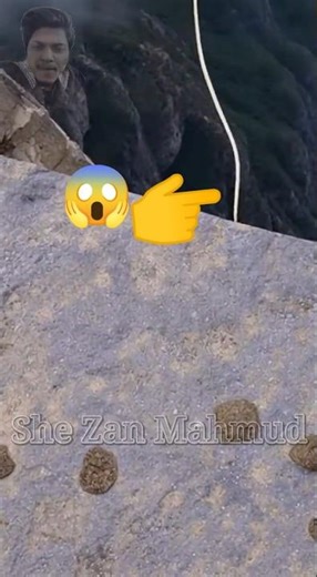 🦊🐍 Red Fox and Python Snake Jump Real Wildlife Documentary