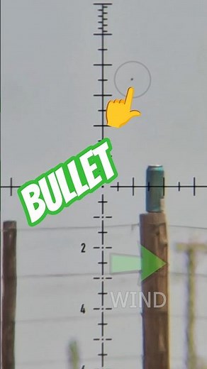 How bullets actually fly in the real world #fxairguns