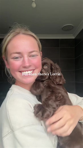 Meet Lottie: The Cutest Cocker Spaniel Puppy
