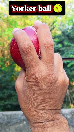 😳 Yorker bowling tutorial 🥎🏏#fastbowling #crickethighlights #spinbowling #bumrahbowling