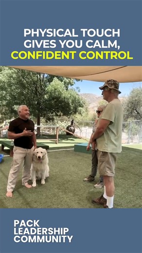 Cesar Millan on Instagram: "A simple touch can command more respect than a loud voice. With timing and placement, you can redirect, calm and correct in a single motion. Join the Pack Leadership Community for answers to your dog questions. Link in bio. Un simple toque puede generar más respeto que una voz fuerte. Con el momento y la ubicación adecuados, puedes redirigir, calmar y corregir en un solo movimiento. Únete a Pack Leadership Community para encontrar respuestas a tus preguntas sobre tu p