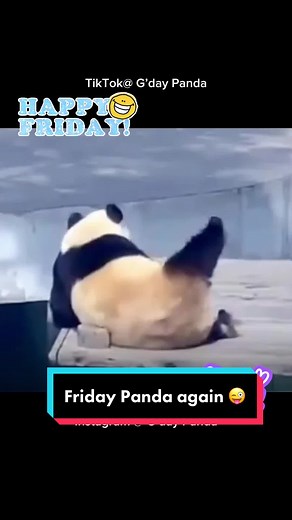 Dancing Panda Compilation | Cute and Funny Panda Videos 🐼😍