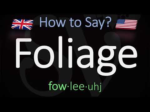 How to Pronounce Foliage? (CORRECTLY) Meaning & Pronunciation