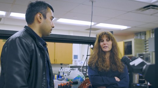 School of Electrical and Computer Engineering | Home