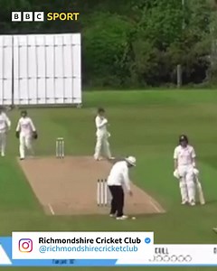 304K views · 988 reactions | Alexa, show us a cricket dismissal that will divide opinion... | BBC Test Match Special | Facebook