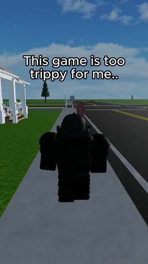 Exploring Fake Reality in Roblox Game