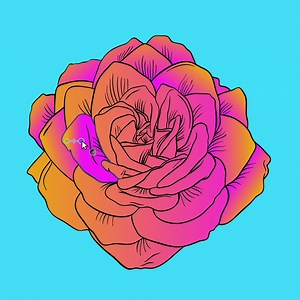 3.8K views · 149 reactions | Fill vector shapes in a single click with Vector Flood Fill, an all-new tool in Affinity Designer 2.1 (desktop and iPad). Discover what else is new at affin.co/WhatsNewIG | Affinity | Facebook