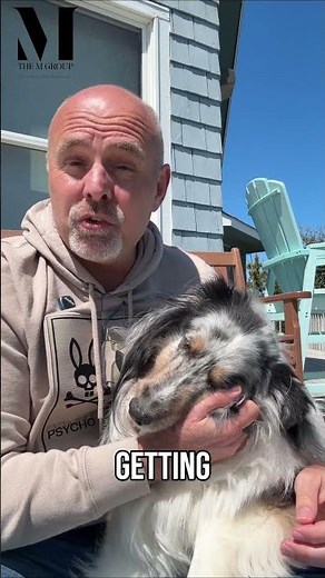 Meet Blue: Our Beloved Sheltie and Family Inspiration