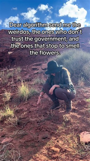 Where y’all at? #algorithm #governmentspending | algorithm