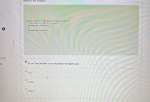 What is the output?javapublic static void main(String[] args... | Filo