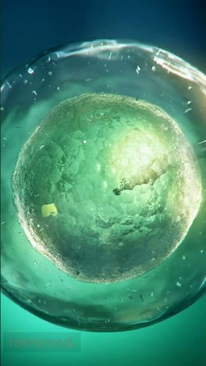 The first successful human cloning was performed in 1996.