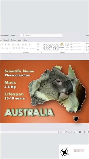 How to make Map animated template in PowerPoint