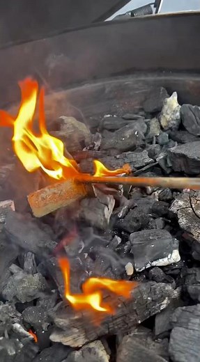 How to Light Your Charcoal Grill Naturally without Lighter Fluid