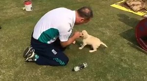 187K views · 1.3K reactions | BBC Test Match Special on Reels | Facebook