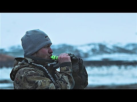 LEARN How To HONK In FIVE Minutes | Goose Calling Tips