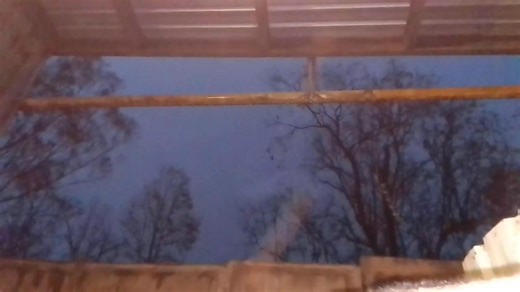 It was pretty wild!!! Thankfully not as bad as that supercell though!! I just got everyone in in time! We were running! Me & the last lot of goats just got in as it let loose!!! I stayed with the animals, hunkered down with them as they were very nervous after last time! Little Pepe goat ended up in my lap. Thank the lord there was no hail this time!! A 💩 tonne of rain though that caused flash flooding! So I'm off to do damage control now 😖 | Barnyard Betty's Rescue