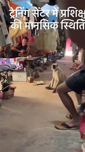 🤣ssc gd trainees🙊 #shorts #army #trending #viral #boost #armyshorts#indianarmyshorrs#shortsfeed