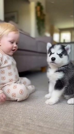 Watch the baby teach the puppy how to talk!