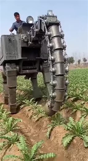 Account Delete (@accountdelete2026)’s videos with son original - user97617855403