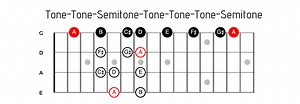 Bass Guitar Scales: How To Learn And Use Them (Patterns & Formulas)