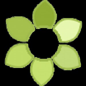 What To Do When Orchids Are In A Glass Container