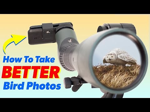 Complete Guide to Digiscoping
