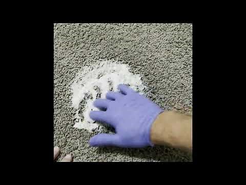 How to Clean Urine Stains & Odors from Carpet