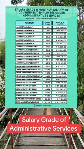 Salary Grade of Administrative Staff Explained