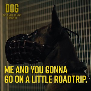 27K views · 2.1K reactions | Trouble meets trouble in #DogMovie starring Channing Tatum  In cinemas Feb 18 | Entertainment Film | Facebook