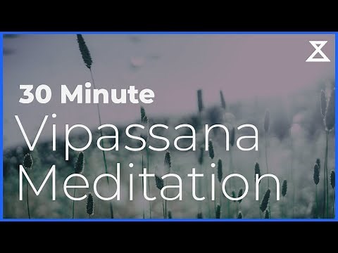 30 Minute Guided Vipassana Meditation
