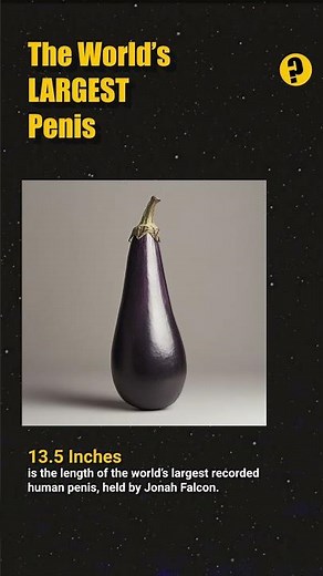 World's LARGEST Penis - Did You Know?