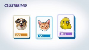 62K views · 973 reactions |  What Is Machine Learning? 烙 Curious about how AI works? Loren Shure walks you through the 3 main types of machine learning: 1️⃣ Clustering – Grouping similar things based on their features. 2️⃣ Classification – Think object detection, spam filters, and more! 3️⃣ Regression – Predicting outcomes based on data.  Which type of machine learning would you be most excited to learn more about?  | MATLAB | Facebook