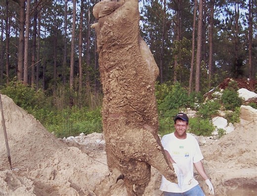 World’s largest wild pig HOGZILLA was ‘12ft long monster weighing 70st'