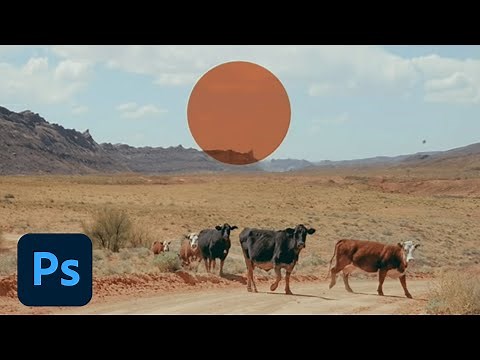 How to Use Layers: Photoshop | Adobe Creative Cloud