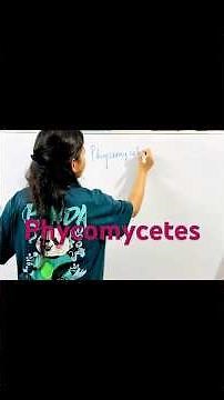 Phycomycetes!!! Biological Classification Class 11 Ncert Chapter 2#biology #neet #ncert #viral #reel