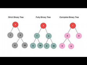 Tree In Data Structures Explained | Introduction To Tree