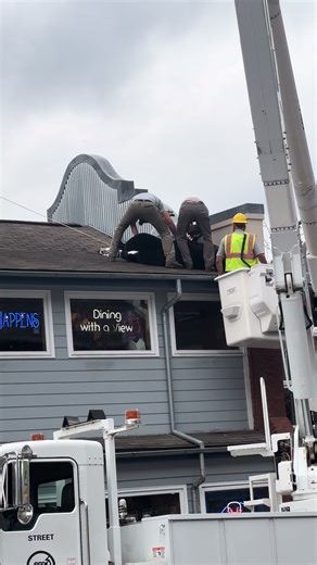 Tranquilizing a Bear in Gatlinburg: A Unique Rescue