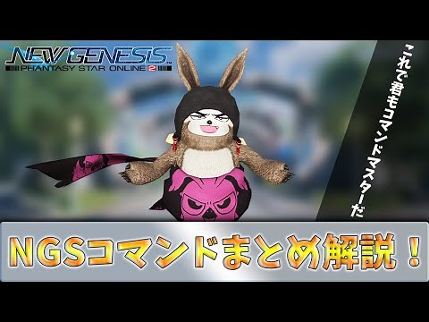 (PSO2NGS)コマンドをまとめて解説！！