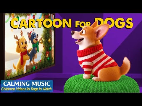 Dog Cartoon: All-Day Videos NO-Stress & Fun for Dogs to Watch on Weekends 🐶 Dog TV + Relaxing Music